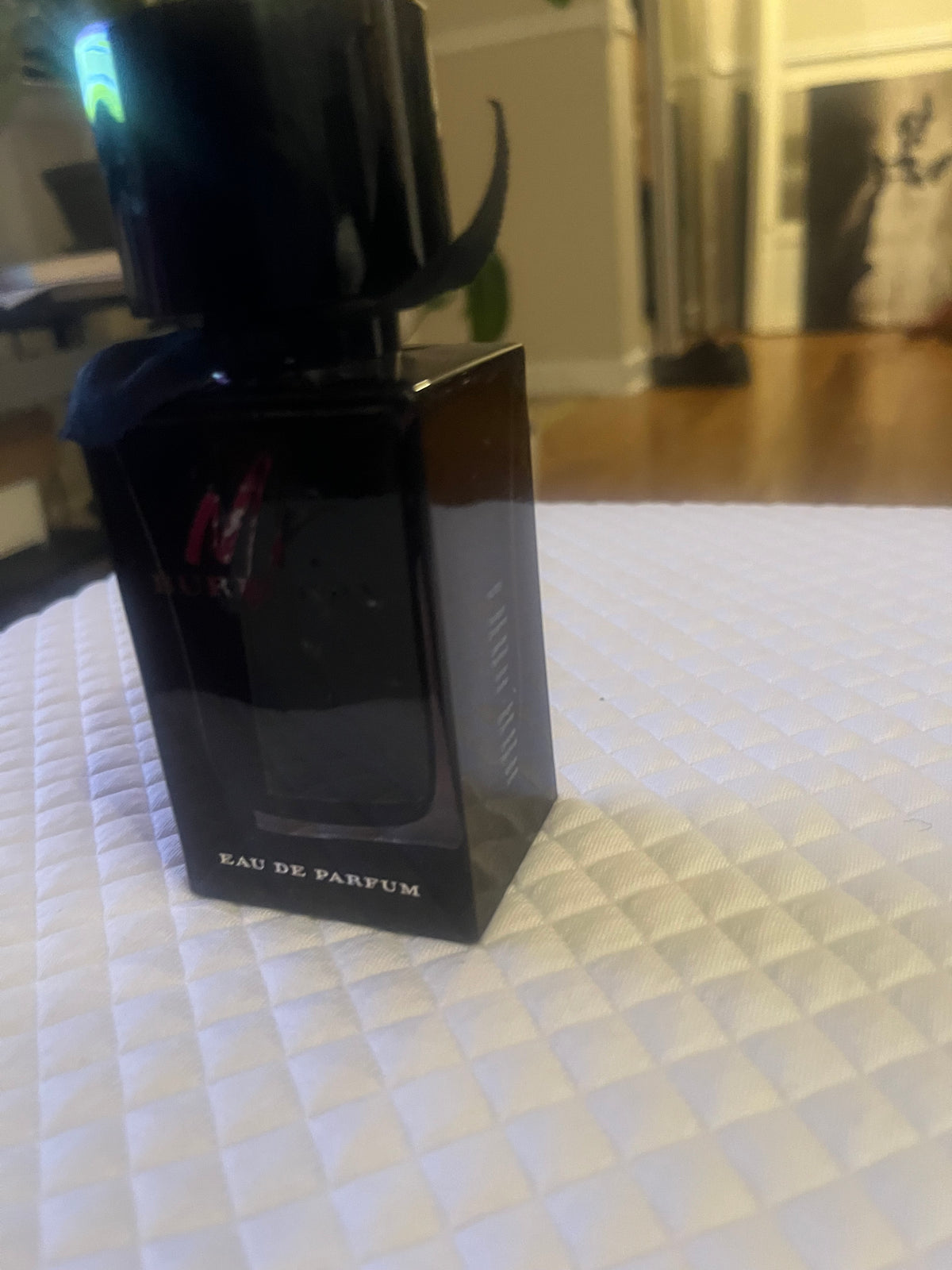 Burberry Mr. Burberry EDT 100ml